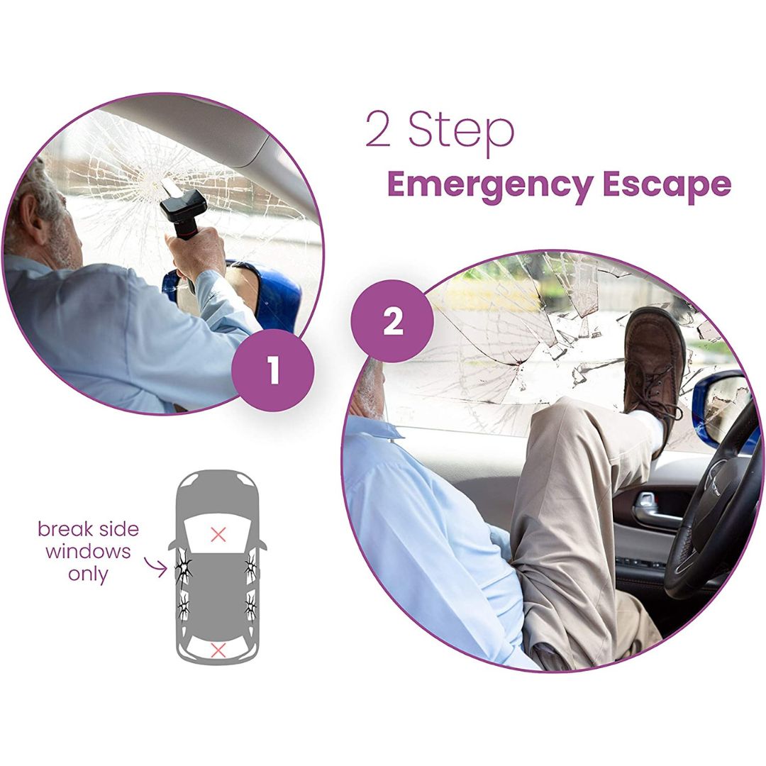 3 in 1 Car Handle Assist Set of 2